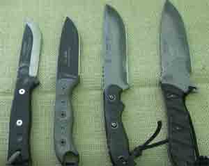 a nice collection of fix blade knives